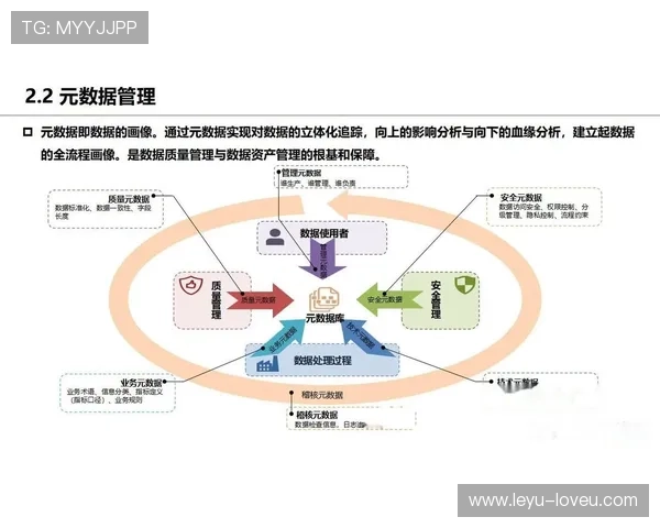 维尔茨状态稳定性解析：数据与表现背后的真实价值