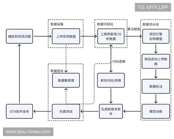 少见却关键：群体冲突判罚规则如何精准执行？