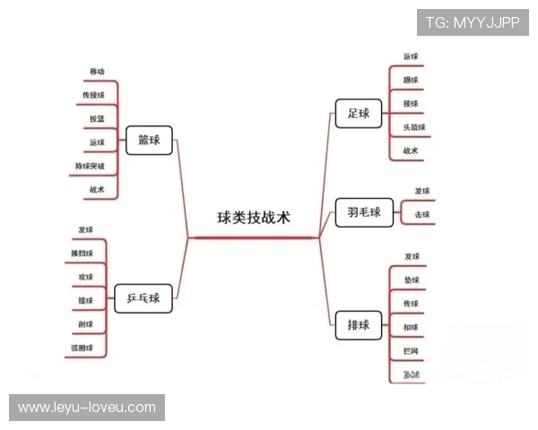 篮球规则详解：进攻重置规则如何影响球队的战术执行？